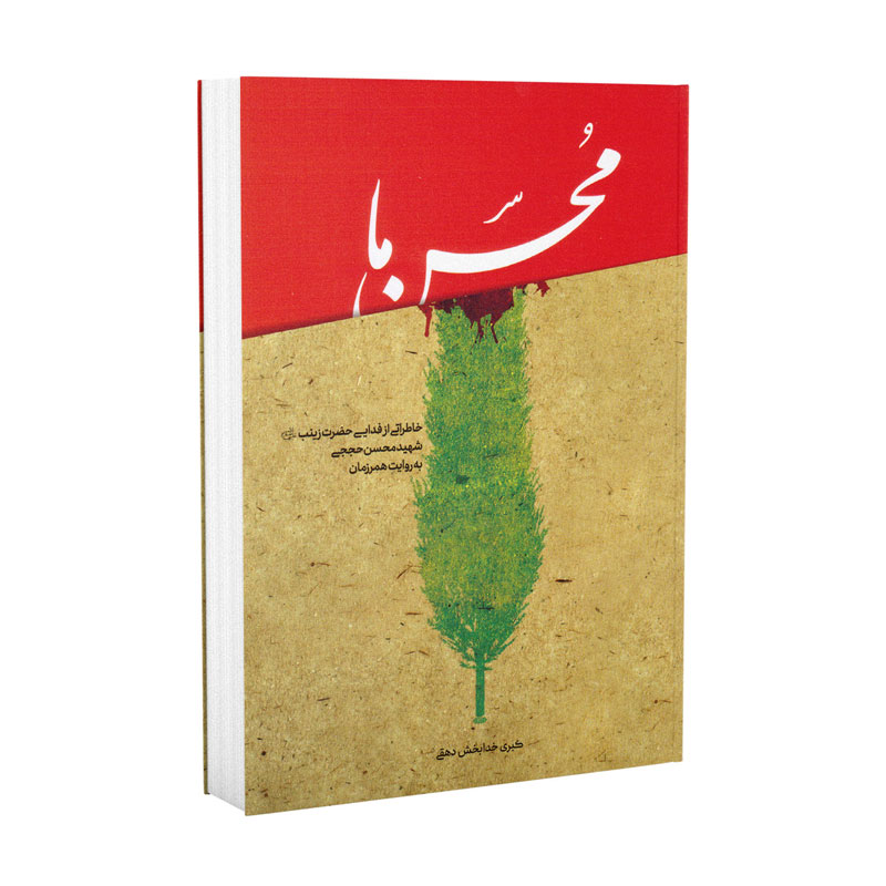 محسن ما